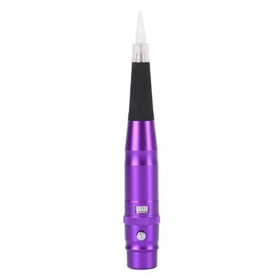 2000mAh μόνιμη μηχανή 6 Makeup - ασύρματη περιστροφική μηχανή δερματοστιξιών μπαταριών λι 9V