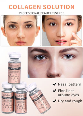 OEM/OBM Stalidearm Skin Care Essence Κολλαγόνο Anti Wrinkle Ενυδατωτικό ορό προσώπου ιδιωτική ετικέτα