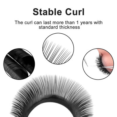 YY Επέκτασης λωρίδας CC/D/DD Curl 0.10mm Δυνατότητα όγκου Επέκταση 8-14mm Μακροχρόνια Ματ μαύρα ψεύτικα λωρίδια