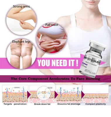 Παχιά απώλεια βάρους ορών καψίματος αντι Cellulite κοιλιών μέσης αδυνατίσματος ορών