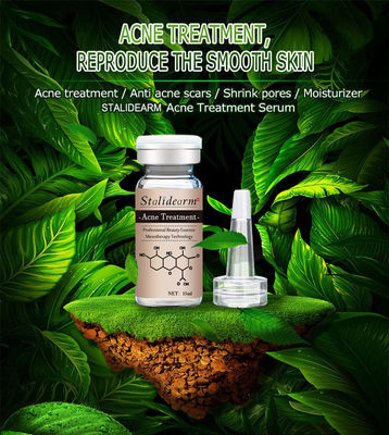 Βοτανικός σπυρακιών αφαίρεσης ορός Microneedling ορών δερμικός για τα σημάδια ακμής