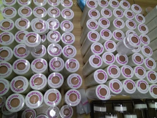 Ίδρυμα 20 Makeup ελέγχου πετρελαίου προσώπου αδιάβροχη σκόνη προσώπου Kryolan χρωμάτων