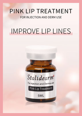 Διάλυμα Μεσοθεραπείας Exosome France Original Stalidearm Pink Lip Treatment Injectable Serum Set
